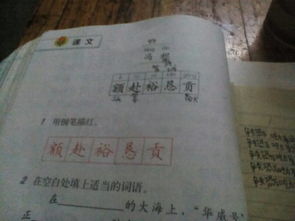 参加两怎么组词 参加两怎么组词