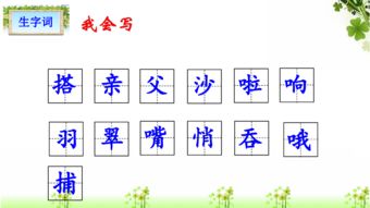 搭船的搭船的搭怎么组词 搭船的搭船的搭怎么组词