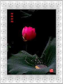 余香的香怎么组词