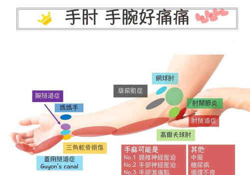 腰杆的腰疼是怎么组词 腰杆的腰疼是怎么组词