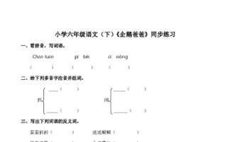 爸爸的豹怎么组词