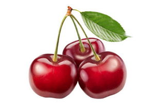 樱桃的樱怎么组词