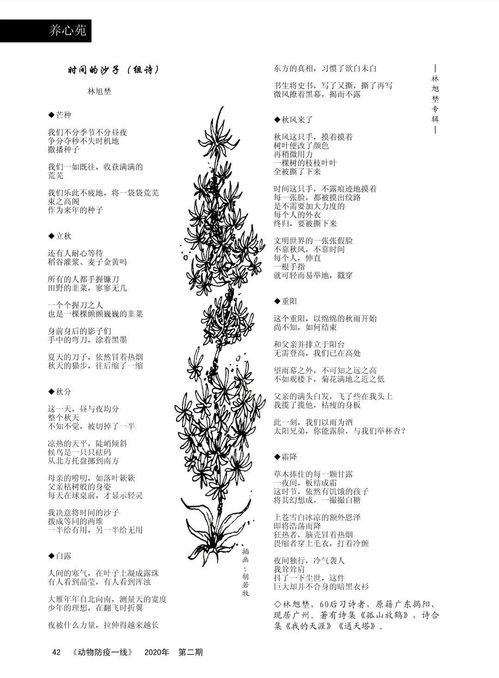 诗露怎么组词 诗露怎么组词