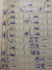 里面的里字组词怎么写 里面的里字组词怎么写