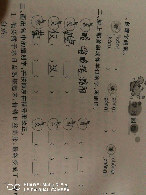 何加偏旁组词(何加偏旁组词语有哪些)