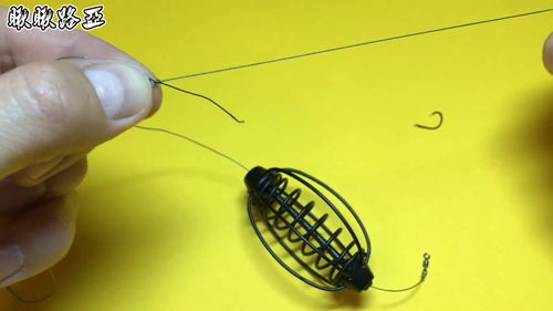 笼的组词(笼的组词有哪些呢)