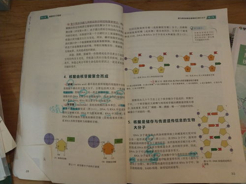 修的组词有哪些(修字的修组词)