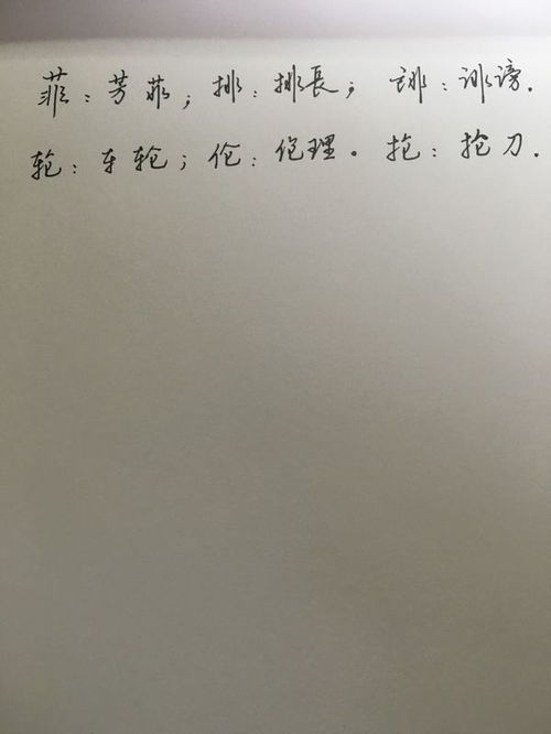 仑组词语(仑字组词怎么组)