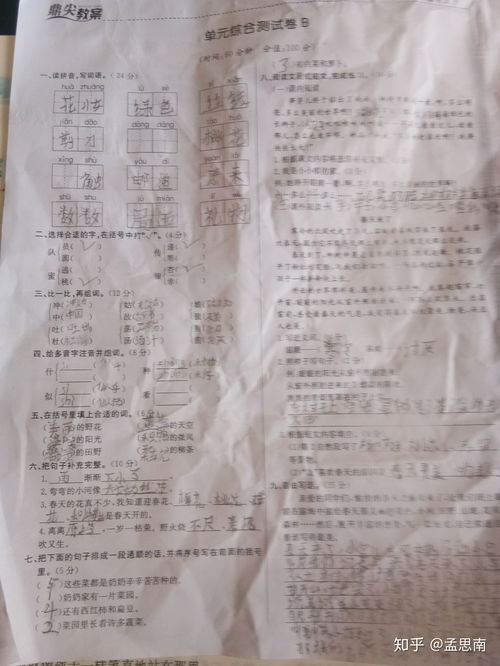 什么什组词(什么 什组词)