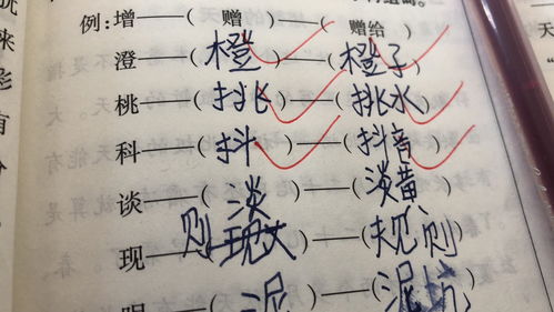 耕字组词(耕字组词三年级)