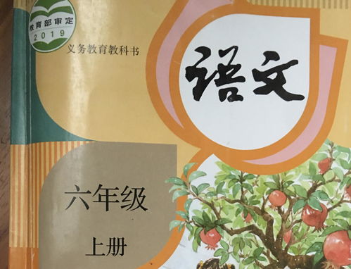 人多音字组词(答多音字组词)