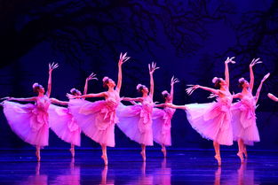 舞蹈的蹈组词(舞蹈的蹈组词,停止的止组词)