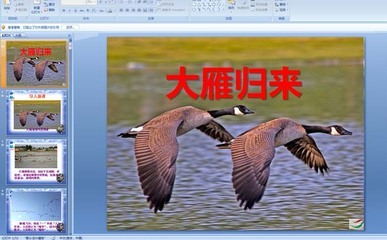 雁的组词(丛的组词)