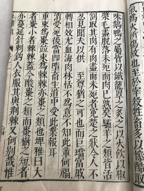 组词墨(组词墨水)