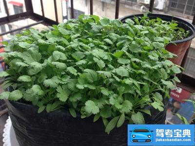 都市的都组词(都市的都组词有哪些)