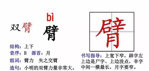bi四声组词(必四声组词)