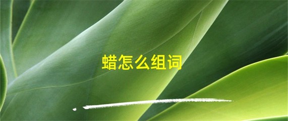 蜡的组词是什么(蜡组词组什么词)