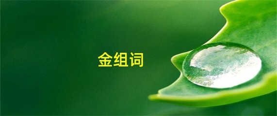 金组词(急组词)