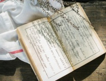 塌怎么组词(塌怎么组词崩塌的塌)