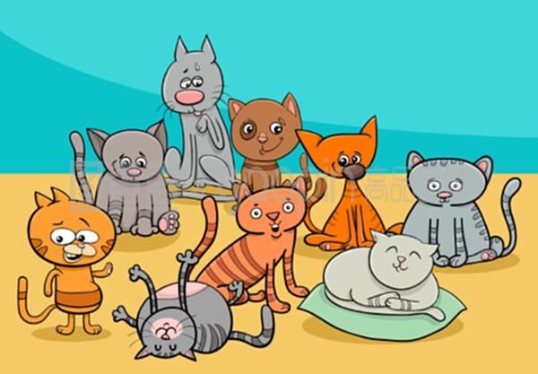 猫组词组(猫组词组词语有哪些词语)