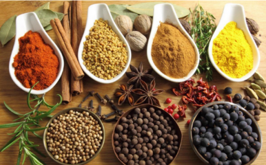 臣组词组(臣组词)