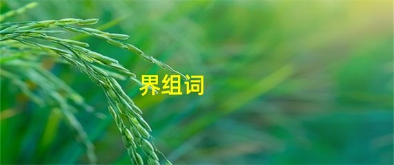 界组词(介组词)