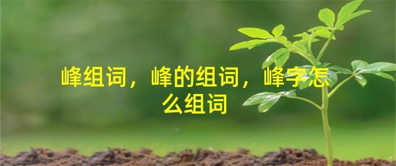 蝶怎么组词语(蝶组词怎么写)