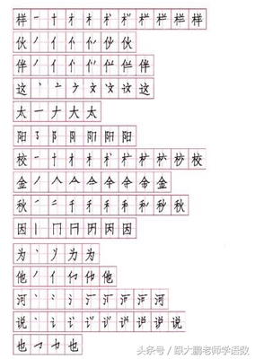 组词摆(摆的组词是什么)