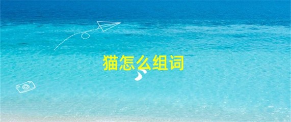 猫怎么组词(猫怎么组词一年级)