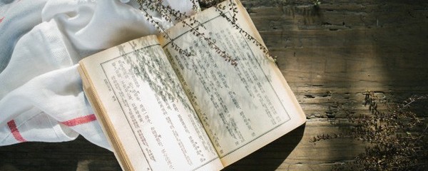 土壤的壤组词(土壤的组词是什么)