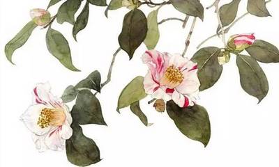 亦组词(弯组词)