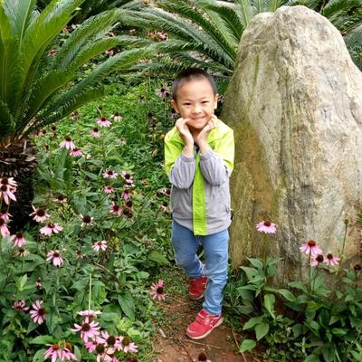 国组词(国组词一年级)