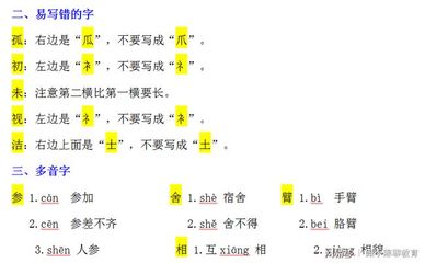 怎么组词语(崇怎么组词语)