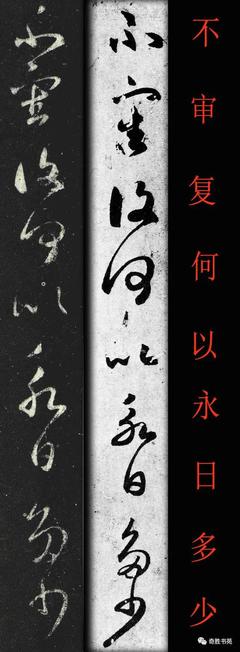 采的组词是(请问采的组词是什么)