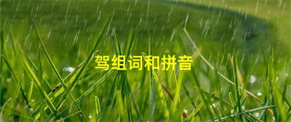 驾字怎么组词(驾字怎么组词两个字)