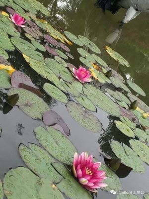 组词间(组词间隔)