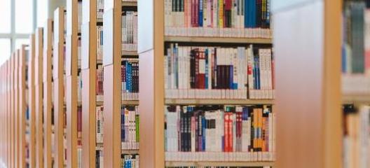 虎怎么组词(虎怎么组词两个字)