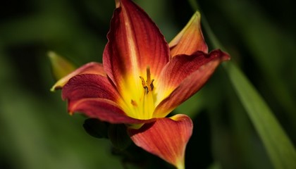 魔的拼音和组词(魔的拼音与组词)