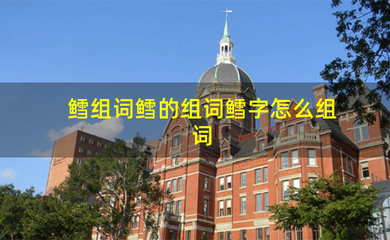 鳄组词(鳄组词组词语)