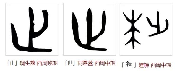 凋字组词(凋组词多音字)