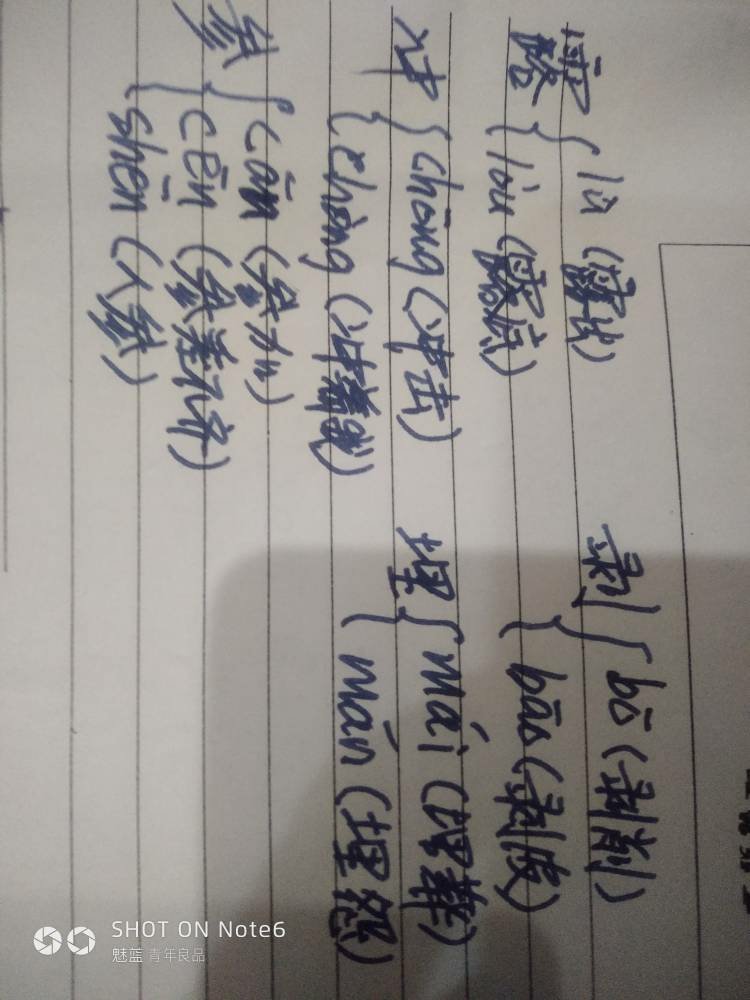 塞字组词多音字(塞组词多音字组词诺有哪)