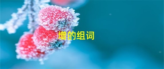 增的组词(挣的组词)