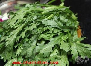 茼怎么组词(藤怎么组词)