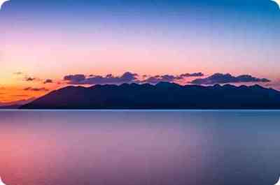 杯组词(桦组词)