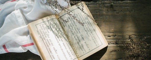 驱的组词(驱的组词组什么)