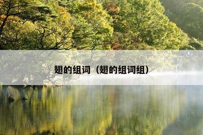 扇的组词是什么(扇的组词是什么啊)