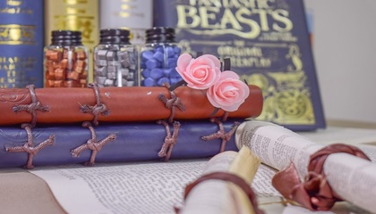 系的读音和组词(系的拼音和组词是什么)