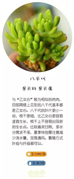 咊组词(咊组词语)