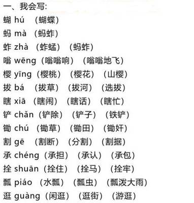 用美组词(用美组词有哪些)