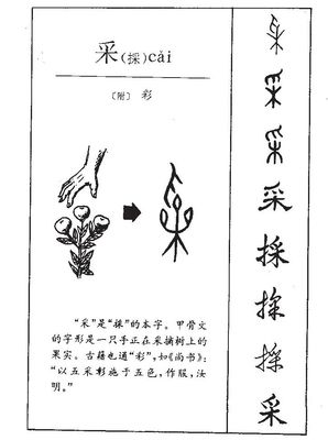 菇的拼音和组词(菇的拼音和组词组)